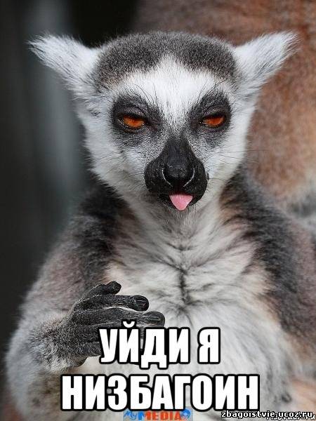 лем